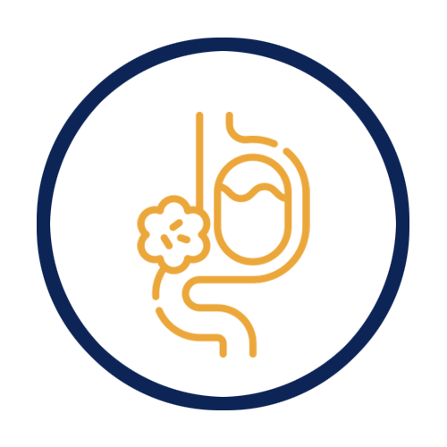 Digestion